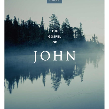 The Gospel of John Kjv