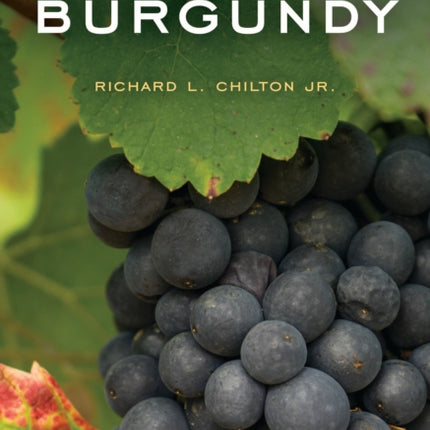 A Beginners Guide to Burgundy