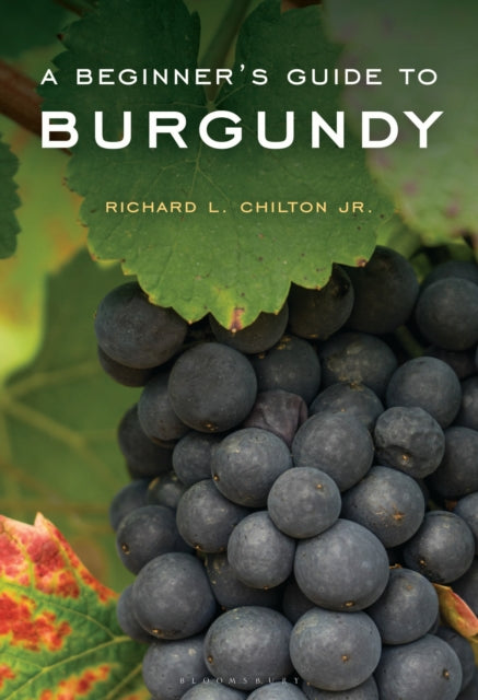 A Beginners Guide to Burgundy