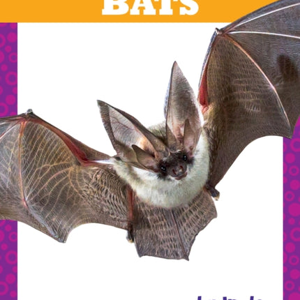 Bats