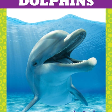 Dolphins