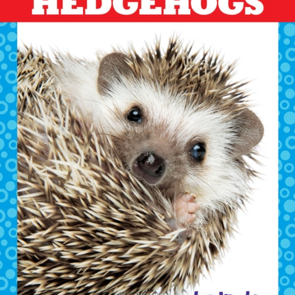 Hedgehogs