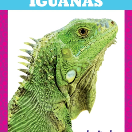 Iguanas