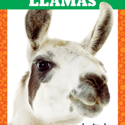 Llamas