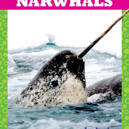 Narwhals