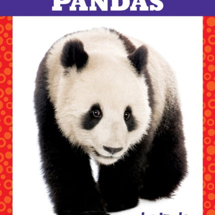 Pandas