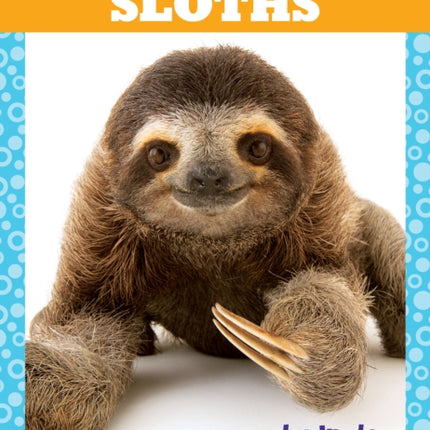 Sloths