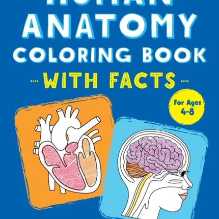 Human Anatomy Coloring Book with Facts: 35+