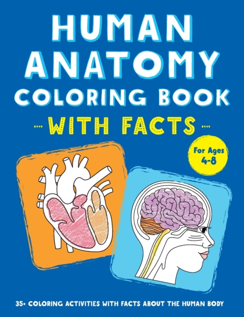 Human Anatomy Coloring Book with Facts: 35+