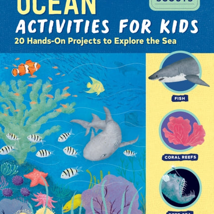 Ocean Activities for Kids