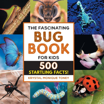 The Fascinating Bug Book for Kids: 500 Startling