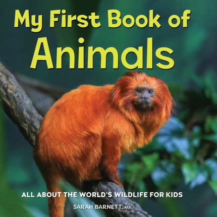 My First Book of Animals: All about the World's