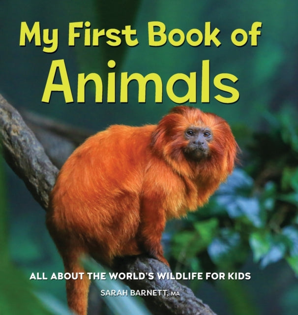 My First Book of Animals: All about the World's