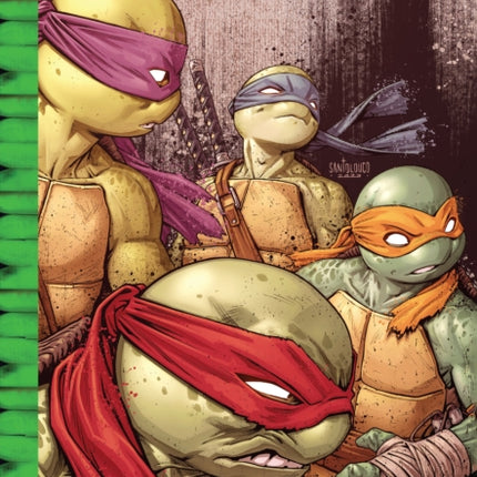 Teenage Mutant Ninja Turtles IDW Sourcebook