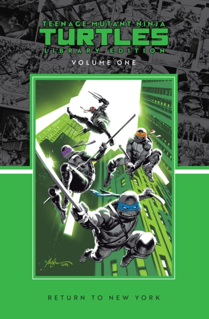 Teenage Mutant Ninja Turtles Vol. 1 Return to New