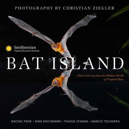 Bat Island: A Rare Journey into the Hidden World of Tropical Bats