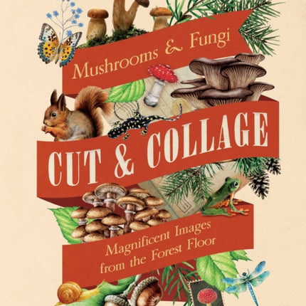 Cut  Collage Mushrooms and Fungi