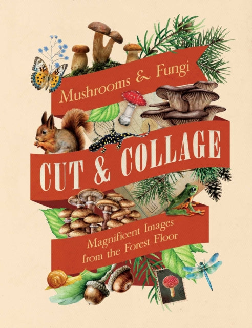 Cut  Collage Mushrooms and Fungi