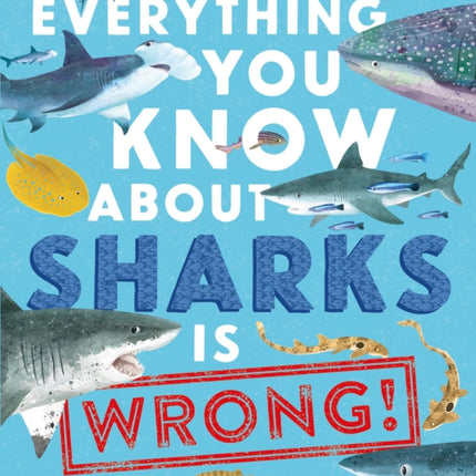 Everything You Know about Sharks Is Wrong