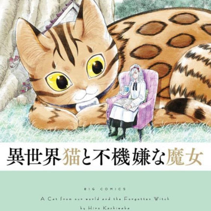A Cat from Our World and the Forgotten Witch Vol.