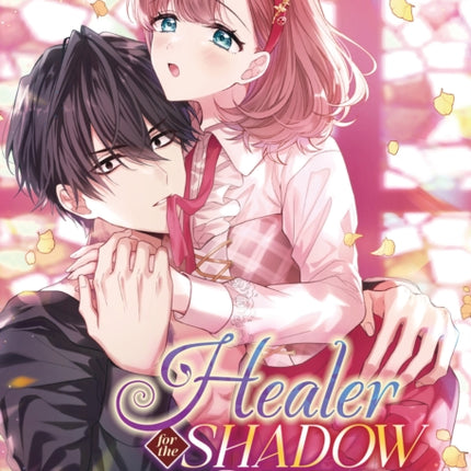 Healer for the Shadow Hero Manga Vol. 2