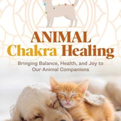 Collection image for: Reiki and energy healing Books