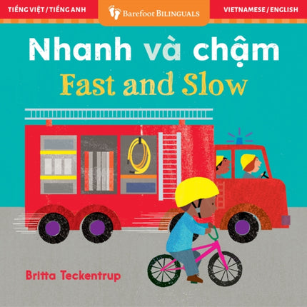 Fast and Slow Bilingual Vietnamese  English