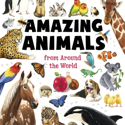 Big Book of Amazing Animals