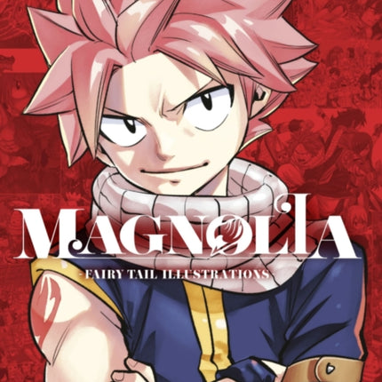 Magnolia Fairy Tail Complete Illustrations