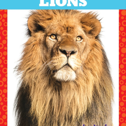 Lions