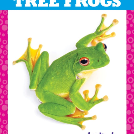 Tree Frogs