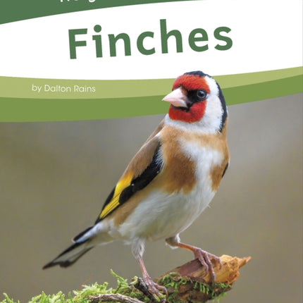 Finches