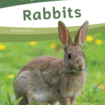 Rabbits