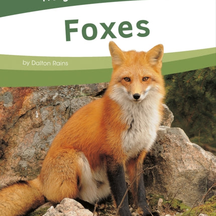 Foxes