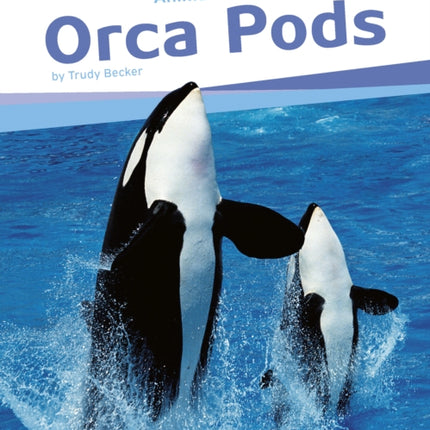 Orca Pods