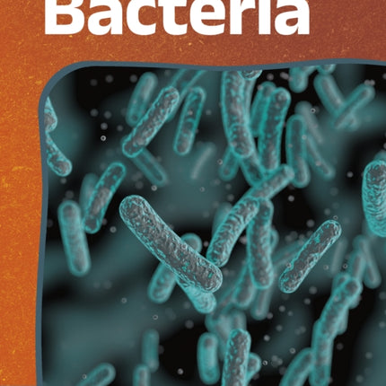 Bacteria