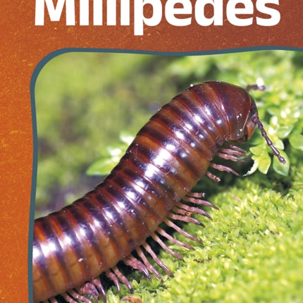 Millipedes