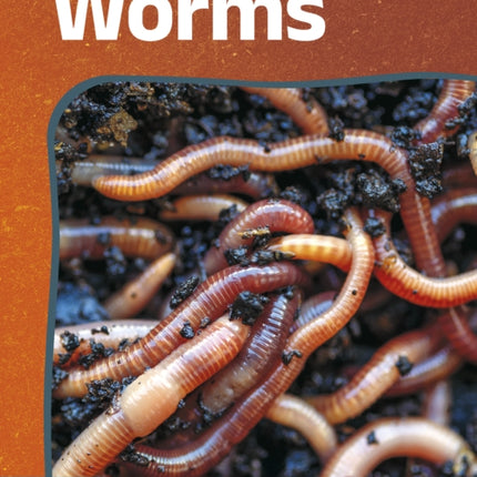 Worms