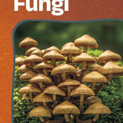 Fungi