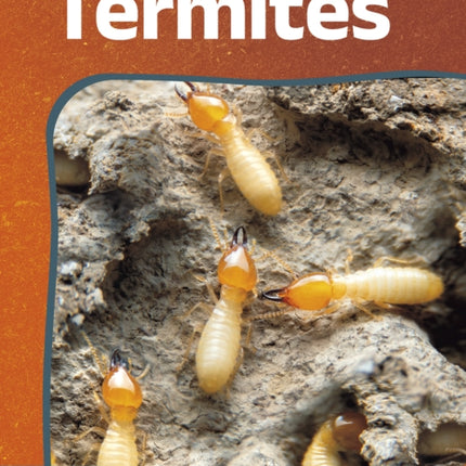 Termites