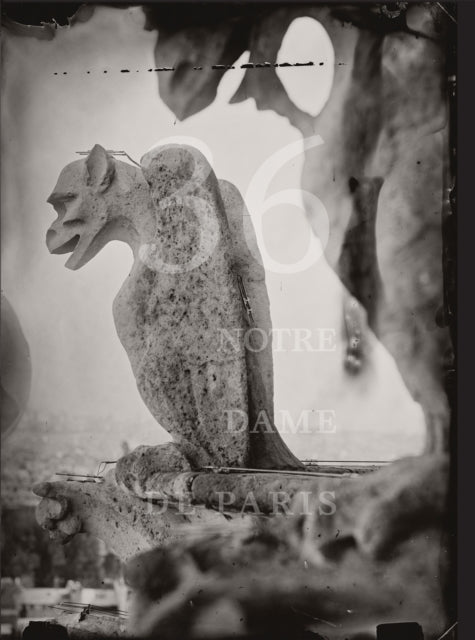 Tomas Van Houtryve 36 Views of Notre Dame