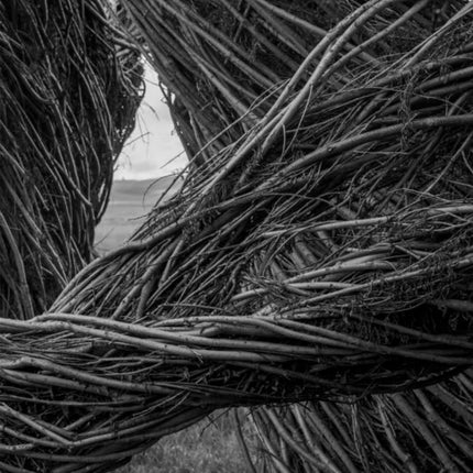 Patrick Dougherty  James Florio Sticks