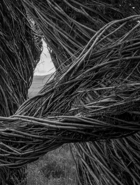 Patrick Dougherty  James Florio Sticks