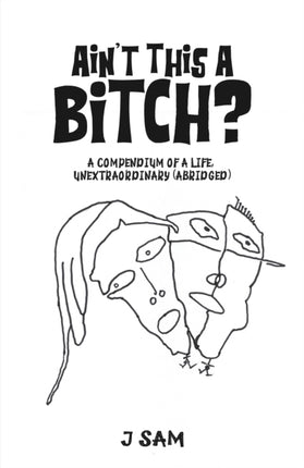 Aint This a Bitch