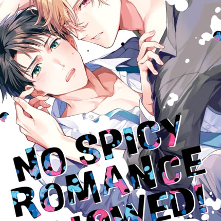 No Spicy Romance Allowed