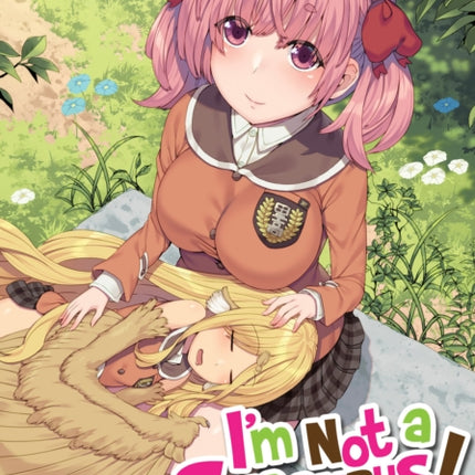 Im Not a Succubus Vol. 6