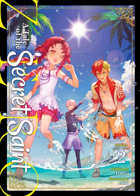 A Tale of the Secret Saint ZERO Light Novel Vol.
