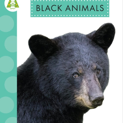 Black Animals