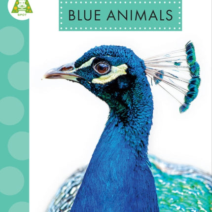 Blue Animals