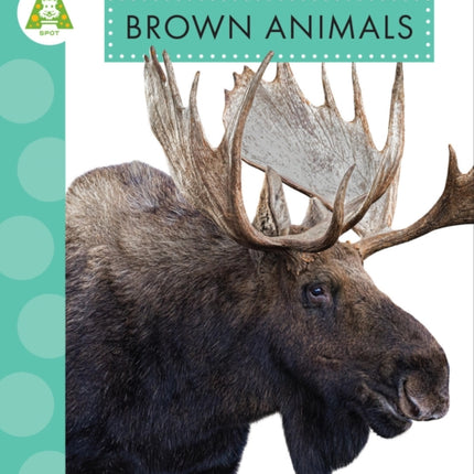 Brown Animals